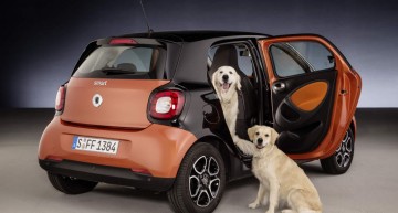 Smart fordogs: man’s best friend gets best treats