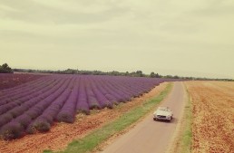 Purple fields of lavender and the Mercedes-Benz 300 SL Roadster – Infinite Spicy