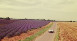 Purple fields of lavender and the Mercedes-Benz 300 SL Roadster – Infinite Spicy