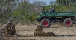 The Mercedes-Benz Unimog goes on a safari in Africa