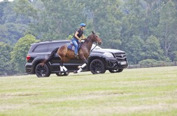 The drag race of the century – Polo Horse vs “Black Crystal” Mercedes
