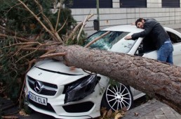 Simply hearbreaking! Mercedes smashed by falling tree in Spain