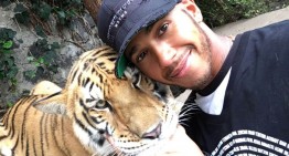Lewis Hamilton scares the hell out of a tiger