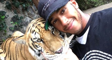 Lewis Hamilton scares the hell out of a tiger