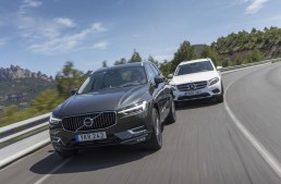 Daimler and Volvo could share internal combustion engines