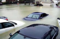 Daimler helps victims of hurricane Harvey