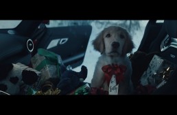 Santa Claus has got a puppy for a co-driver on-board the Mercedes-AMG GT