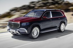 Guangzhou Auto Show 2020: This is the Mercedes-Maybach GLS 600 4MATIC