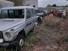 Over 20 Mercedes-Benz G-Class units abandoned for decades in a junkyard