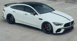 It’s All in the Contrast, White Mercedes-AMG GT 63 With Black Wheels Proves