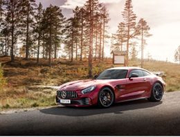What Documents To Translate To Buy a Mercedes in Germany