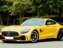 From Ring to Road: How Muay Thai’s Performance Mindset Can Inspire Your Commute