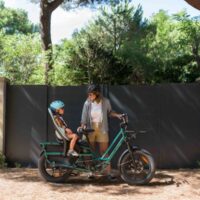 Two-Seater Electric Bike: The Ultimate Ride for Shared Adventures with ...