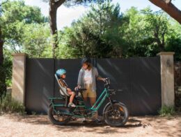 Two-Seater Electric Bike: The Ultimate Ride for Shared Adventures with Fiido Titan and T2