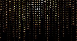 Custodial vs. Non-Custodial Crypto Sportsbooks: What’s the Difference?