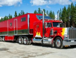 Comparing Isuzu Trucks with Mercedes Brands