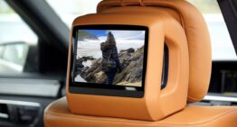 Why Low-Input Games Work Better on In-Car Passenger Screens