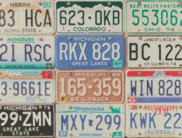 Why Fifty State License Plate Sets Make a Uniquely American Display