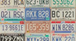 Why Fifty State License Plate Sets Make a Uniquely American Display